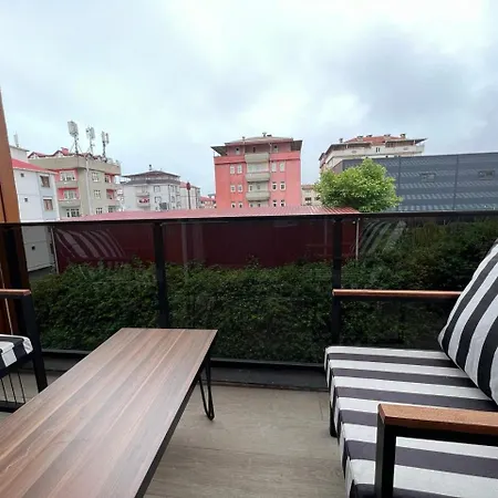 Vip Purple * 特拉布宗