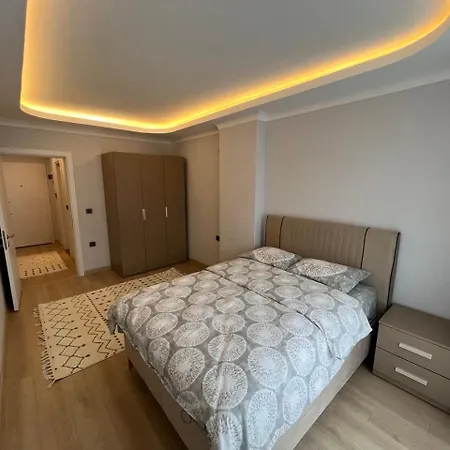 Apartment Vip Purple
